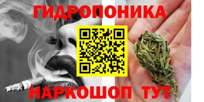 ГАЛЛЮЦИНОГЕННЫЕ ГРИБЫ Шебекино