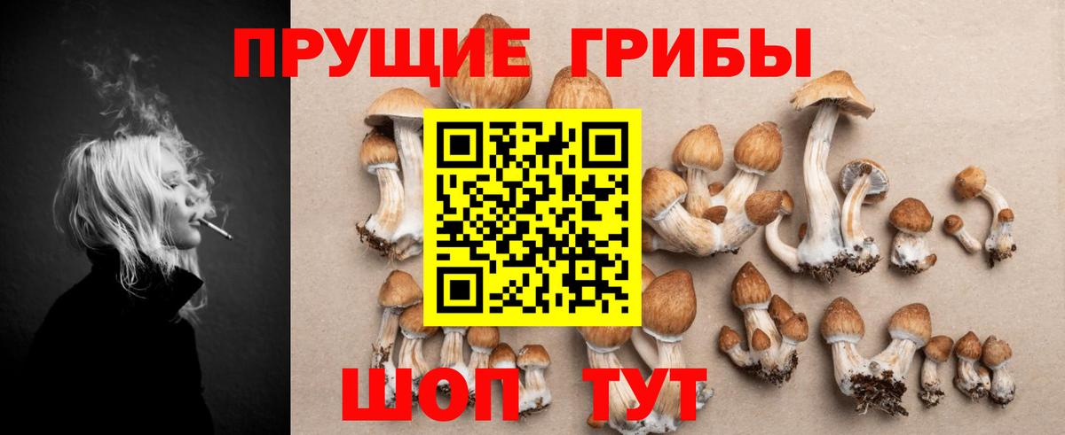 Галлюциногенные грибы прущие грибы Богородск